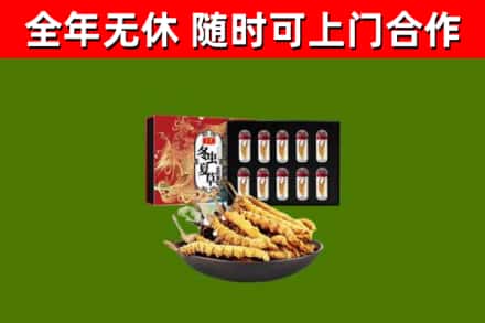 镇江市回收冬虫夏草价格