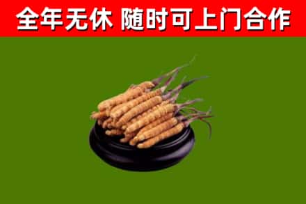 镇江市烟酒回收冬虫夏草.jpg
